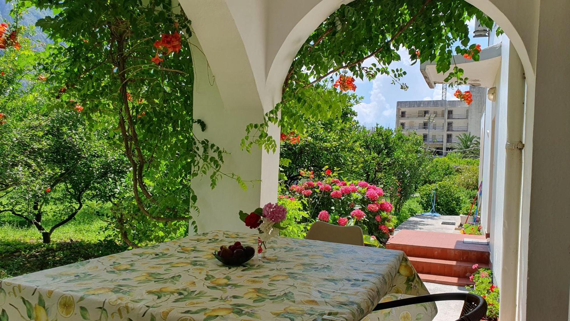 Apartments Ognjenovic Risan Ngoại thất bức ảnh