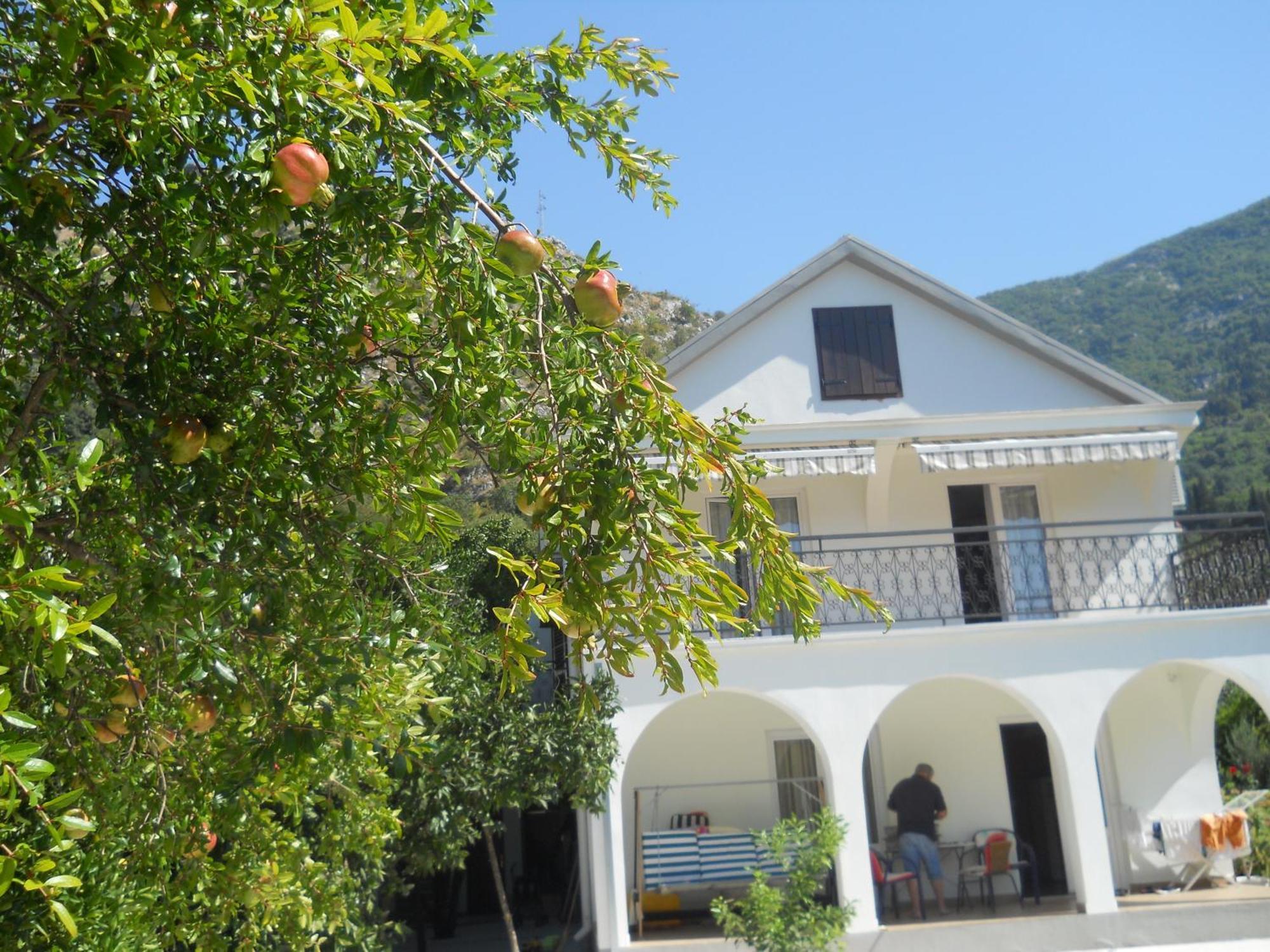 Apartments Ognjenovic Risan Ngoại thất bức ảnh